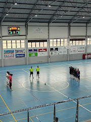 Bar Paragolpes