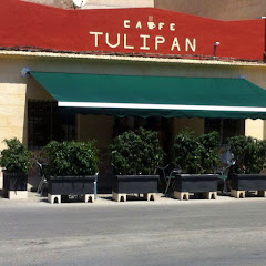 Café Tulipán