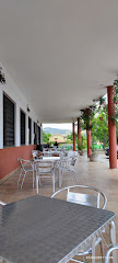 Cafetería Restaurante La Olmilla