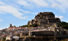 Morella