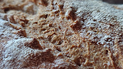 Trigo Salvaje Obrador