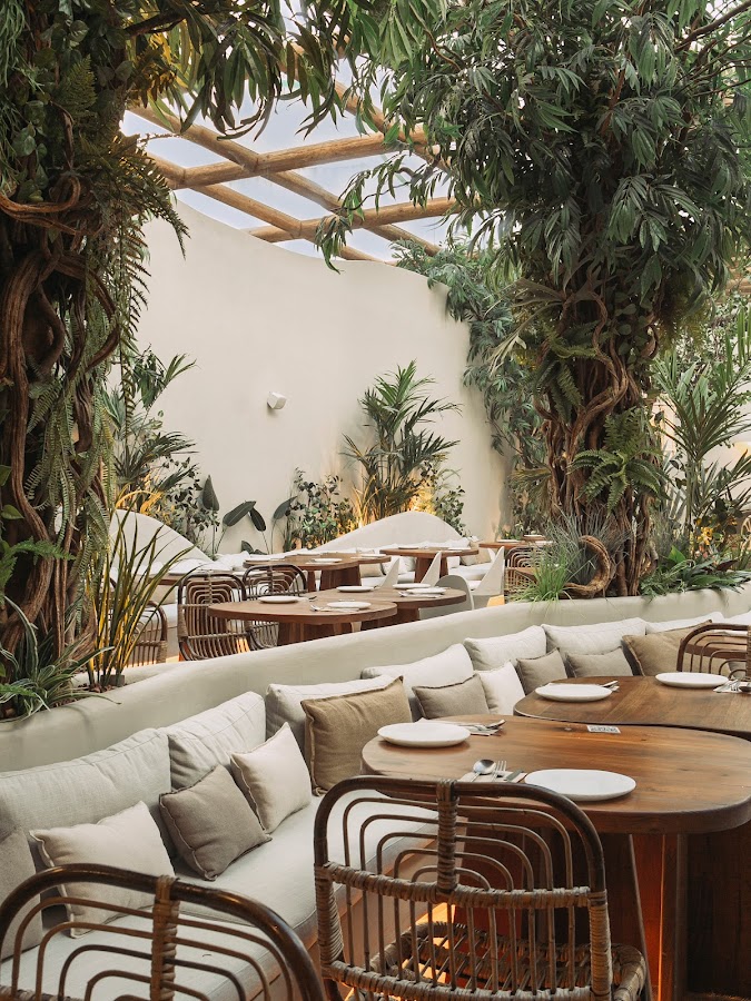 Begin: Jungla | Restaurante en Gandía