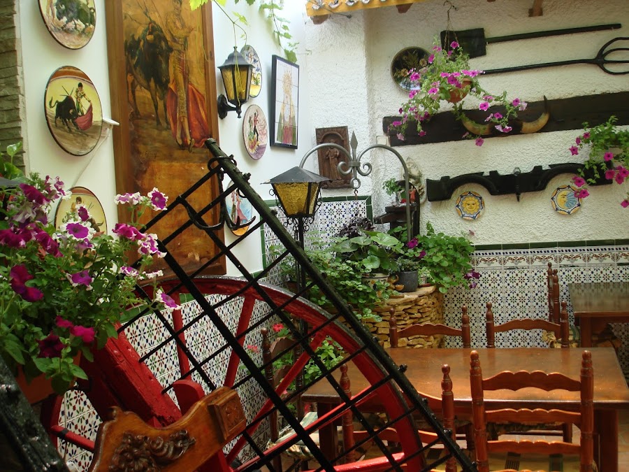 Patio Andaluz