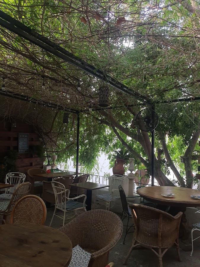 Taberna del Xef