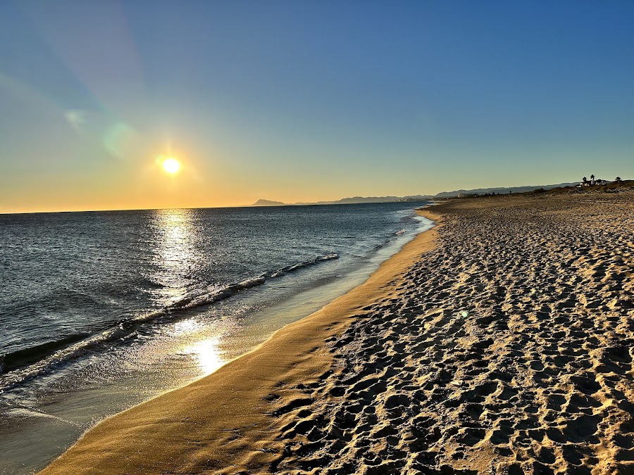 Tavernes Playa