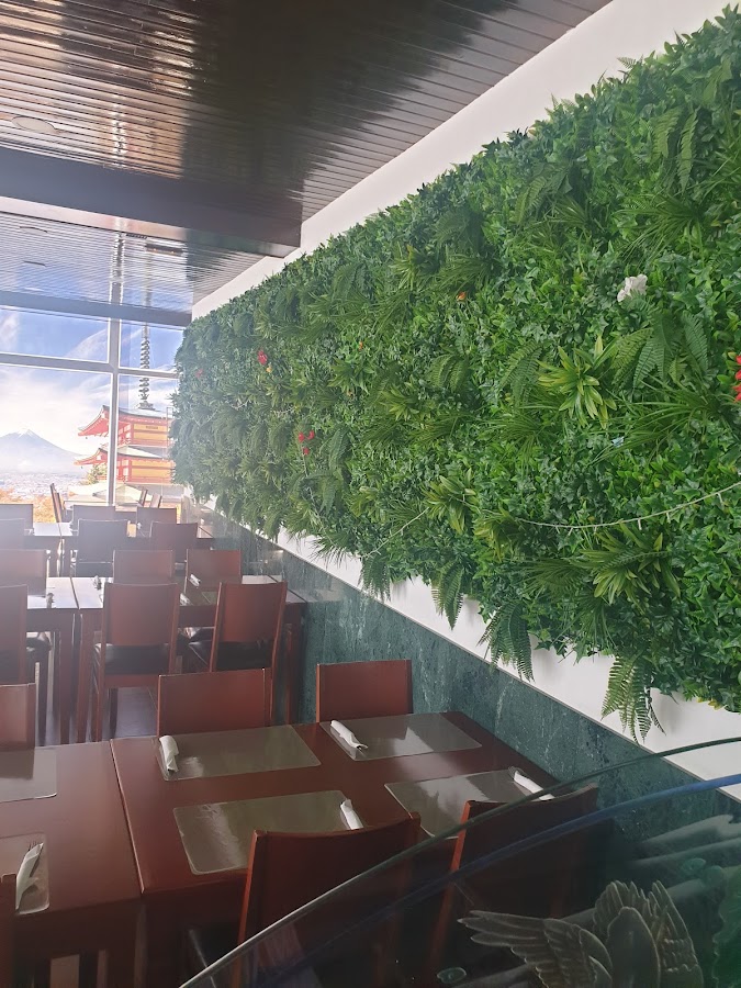 Wok Buffet Mediterraneo
